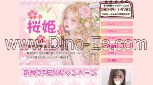 溝の口の「桜姫」電話番号：080-9511-5782