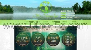 新潟の「Mrs.NatureSpa ミセスナチュレスパ」電話番号：070-3826-3740