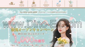 中野(東京)の「森」電話番号：070-5410-6999
