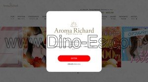 福井(福井)の「Aroma Richard アロマリシャール」電話番号：080-1151-1001