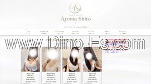 八王子の「Aroma Shiro 八王子ルーム」電話番号：090-6173-0046
