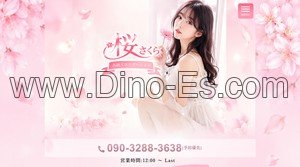 西所沢の「桜」電話番号：090-3288-3638