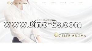 松本駅近くのメンズエステ店舗（CELEB AROMA~セレブアロマ~） | DINOエステ（ディノエステ）