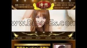 西荻窪駅近くのメンズエステ店舗（清恋 せいれん） | DINOエステ（ディノエステ）