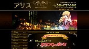 中央林間駅近くのメンズエステ店舗（アリス） | DINOエステ（ディノエステ）
