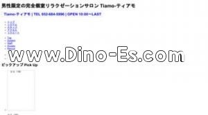 高岳駅近くのメンズエステ店舗（Tiamo ティアモ） | DINOエステ（ディノエステ）