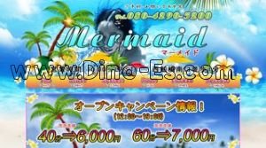 西船橋の「Mermaid マーメイド」電話番号：080-4290-5200
