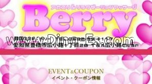 豊橋駅近くのメンズエステ店舗（Berry ベリー） | DINOエステ（ディノエステ）