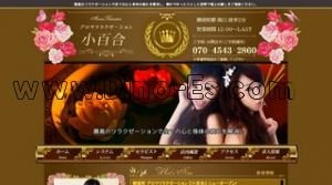 御徒町駅近くのメンズエステ店舗（小百合） | DINOエステ（ディノエステ）