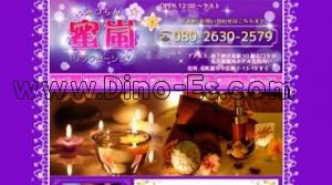 伏見(愛知)の「蜜嵐 みつらん」電話番号：080-2630-2579