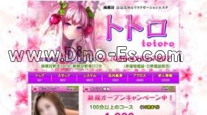 トトロ メンズエステ | DINOエステ(ディノエステ) 南越谷駅近くのメンズエステ店舗(トトロ) | DINOエステ(ディノエステ)