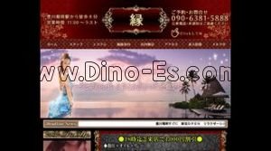 豊川稲荷駅近くのメンズエステ店舗（縁） | DINOエステ（ディノエステ）