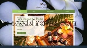 茅場町駅近くのメンズエステ店舗（Putri プトゥリ） | DINOエステ（ディノエステ）