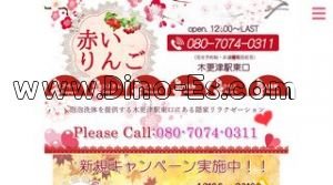 木更津の「赤いりんご」電話番号：080-7074-0311