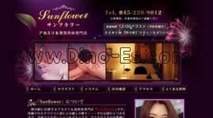 関内の「Sunflower サンフラワー」電話番号：045-228-9012