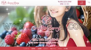 大宮駅近くのメンズエステ店舗（Aroma Berry アロマベリー） | DINOエステ（ディノエステ）