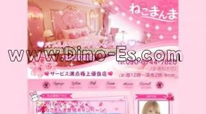 東大宮駅近くのメンズエステ店舗（ねこまんま） | DINOエステ（ディノエステ）