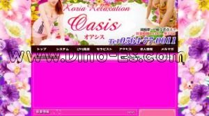 岡崎の「オアシス」電話番号：0564-77-0011