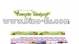 新横浜の「アロマティック新横浜」電話番号：0120-109-200