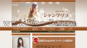溝の口駅近くのメンズエステ店舗（シャングリラ） | DINOエステ（ディノエステ）