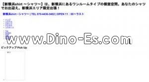 新横浜駅(新横浜shirt シャツ)のホームページや公式サイトです