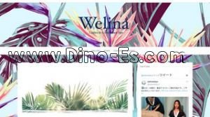 飯田橋駅近くのメンズエステ店舗（Welina） | DINOエステ（ディノエステ）