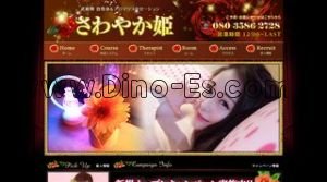 武蔵関の「さわやか姫」電話番号：080-3586-2728