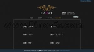 なんば駅近くのメンズエステ店舗（CARAT-カラット-） | DINOエステ（ディノエステ）