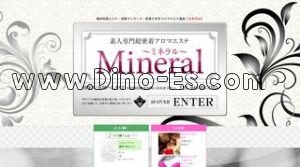 阪東橋の「ミネラル」電話番号：045-231-4355