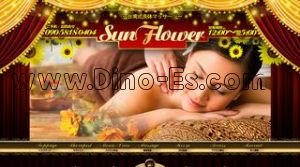 三軒茶屋の「Sunflower」電話番号：080-4622-7788