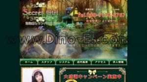 荻窪駅近くのメンズエステ店舗（Secret Girl） | DINOエステ（ディノエステ）