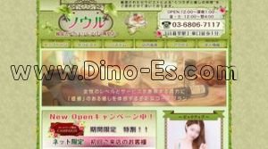 日暮里駅近くのメンズエステ店舗（ソウル） | DINOエステ（ディノエステ）