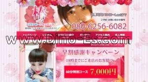 小手指の「椿」電話番号：080-6256-6082