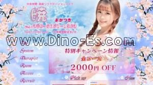 中央林間駅近くのメンズエステ店舗（暁 あかつき） | DINOエステ（ディノエステ）