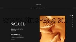 新宿の「SALUTE」電話番号：050-5372-8590