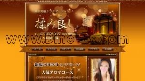 高田馬場駅近くのメンズエステ店舗（揉み良し） | DINOエステ（ディノエステ）