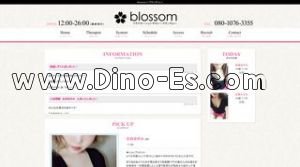 三鷹の「Blossom ブロッサム」電話番号：080-1076-3355