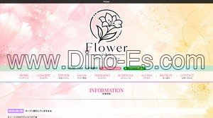 相模大野駅近くのメンズエステ店舗（Flower） | DINOエステ（ディノエステ）