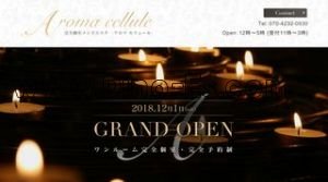 東銀座駅近くのメンズエステ店舗（Aroma cellule アロマ セリュール） | DINOエステ（ディノエステ）