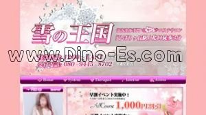 ひばりヶ丘駅近くのメンズエステ店舗（雪の王国） | DINOエステ（ディノエステ）