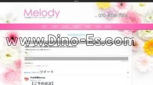 中央林間駅近くのメンズエステ店舗（Melody メロディ） | DINOエステ（ディノエステ）