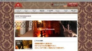 岐阜の「Cherry blossom」電話番号：058-264-4600