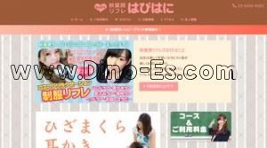 秋葉原の「はぴはに」電話番号：03-6206-8282