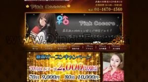 武蔵小杉駅近くのメンズエステ店舗（Pink Cocoro） | DINOエステ（ディノエステ）