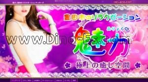 三河豊田の「魅力」電話番号：080-4938-6397