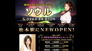 松本の「ソウル」電話番号：0263-88-8709