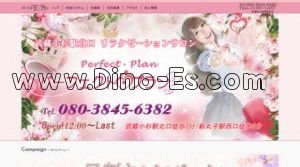 武蔵小杉の「パーフェクト プラン」電話番号：080-3845-6382