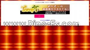 県庁前駅近くのメンズエステ店舗（トロピカーナ） | DINOエステ（ディノエステ）