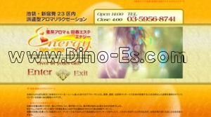 渋谷の「蜜系アロマリラクゼーションエステenergy」電話番号：03-5956-8741