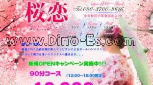 中央林間駅近くのメンズエステ店舗（桜恋） | DINOエステ（ディノエステ）